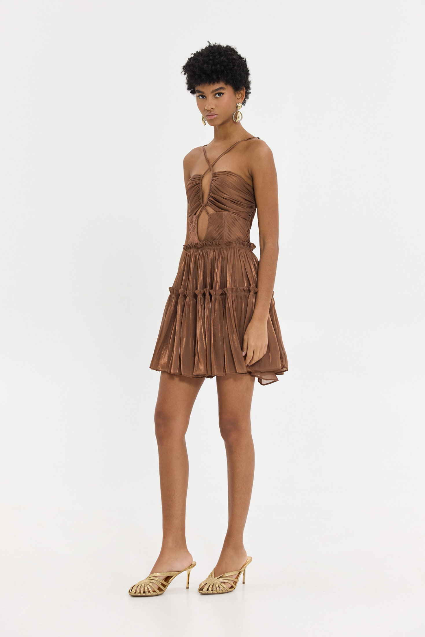 Hemithea-16193766