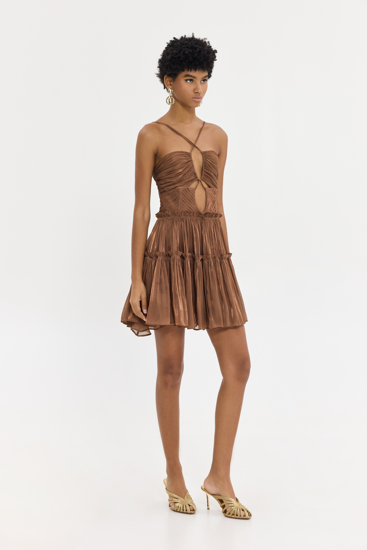 Hemithea-16193768